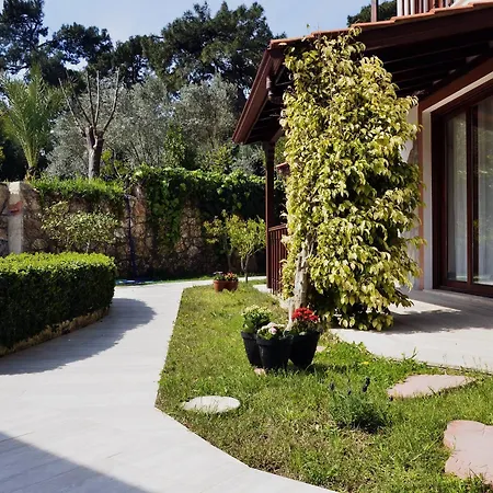 Palmiye * Akyaka (Mugla)