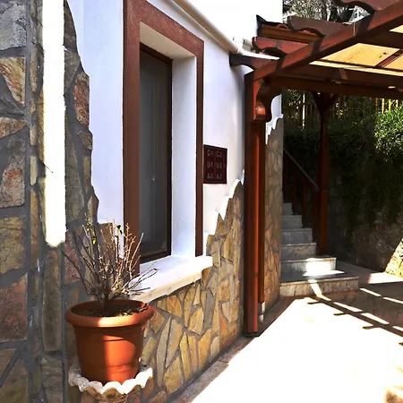 Palmiye Akyaka (Mugla)