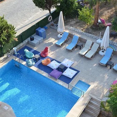 Palmiye * Akyaka (Mugla)