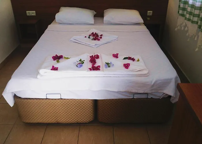 Palmiye * Akyaka (Mugla)